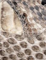 Detaliu-Piele-Naturala-De-Piton-Pantofi-Made-To-Measure-